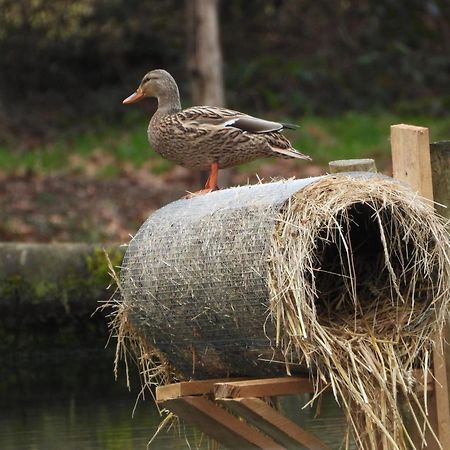 Maison D'Hotes En Pleine Nature Avec Chevaux Soucht Экстерьер фото